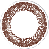 LACELLE 1-Day Tender Brown Colored Contacts Lenses (30 Pack)